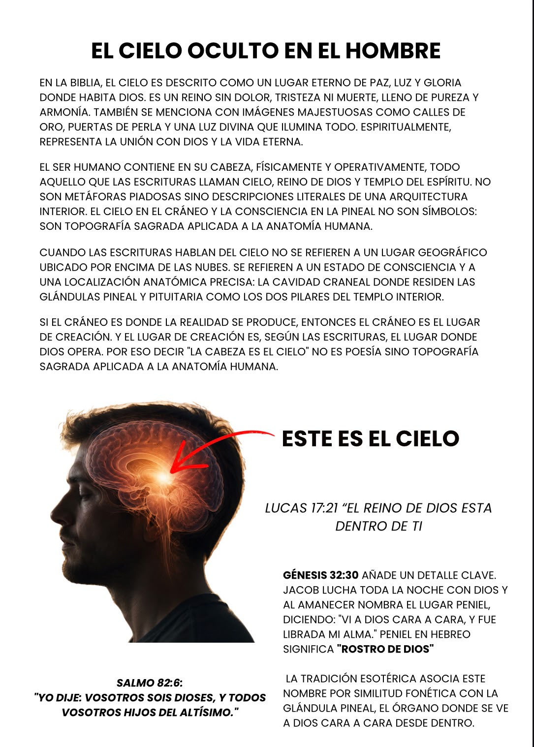 Contenido real del libro - página 1