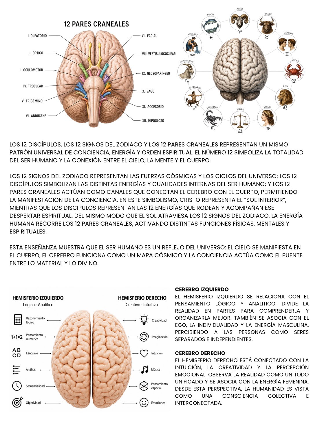 Contenido real del libro - página 2