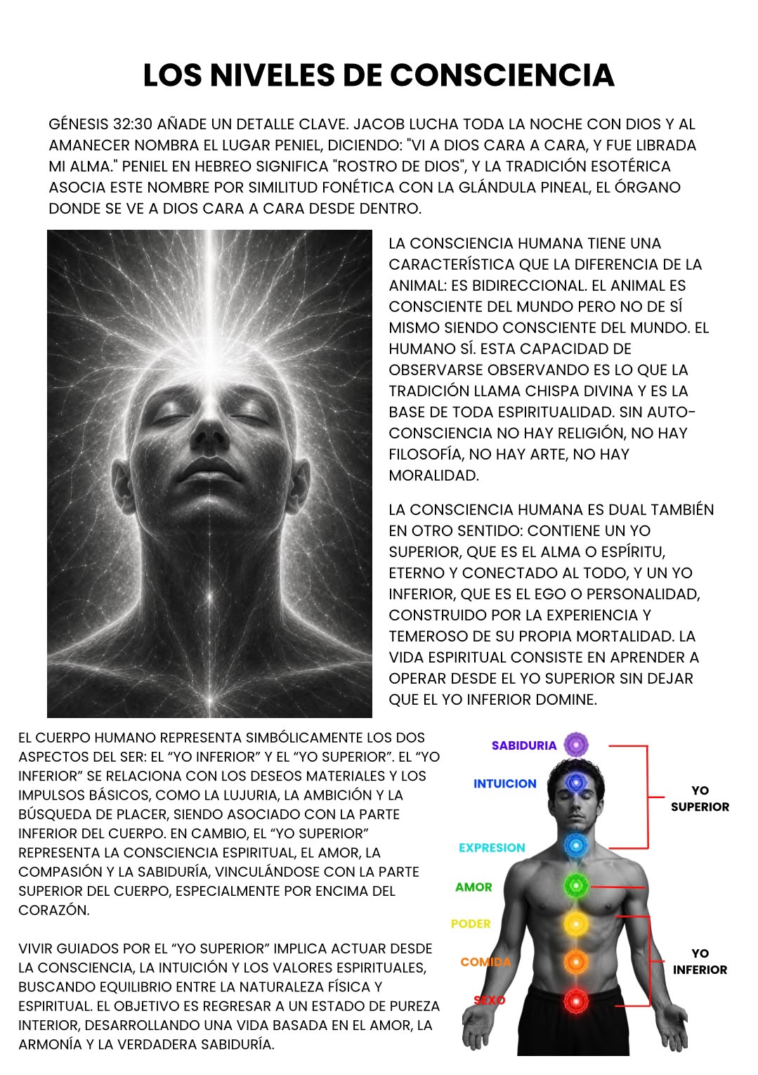 Contenido real del libro - página 3